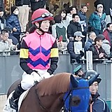 アンコロの住人