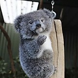 父はブリ母はマグロちゃん