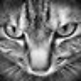 りょーまの休日