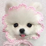 ホルガ村の市民