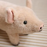 ピンク色のブタさん