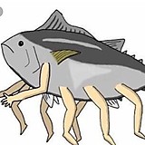 お魚チンパンジー