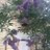 マダムはケーキにまだ夢中