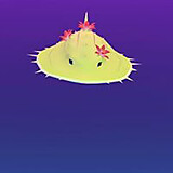 ボルハルト ショアー