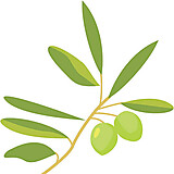 オリーブグリーン