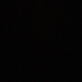 本当の名は知らない。