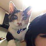 みゆき すぎもと