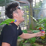 Mick Tatsuya Painter Nomura