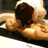 ヨシナガメイア