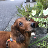 アマンダラカマンダラ