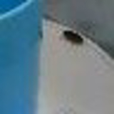 トーキョーに住みたい