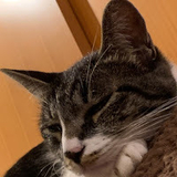 ONOp-channelおのぴーチャンネル