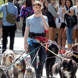 スチールウール