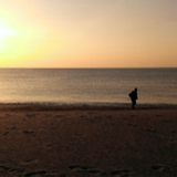 素晴らしきかな