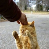 バールのようなもの