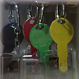 和智･.ー･)(´｡｀)