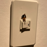 味付塩コショウ