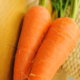 ジョン・タイター