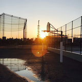 篮球足球网球赛车