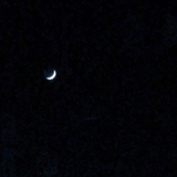 炉辺荘のひかり