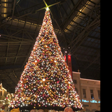 語学系営業女子90年代生まれ