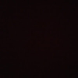 どんどんどりふと