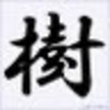 樹〜💎杏🍀〜