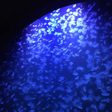 スティッチリロ