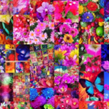 レレレのおじさん