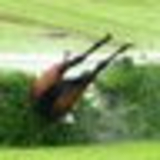 ユートピア・ホリ