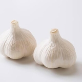 にんちゃん落合