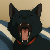 クロネコの戯言