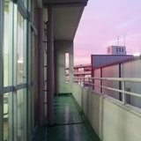 あらかわいつき