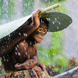 スーパーヒーローカタカナマン