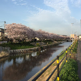 ケムケムニャリオ