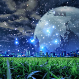 カボスオレンジ