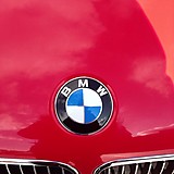 グリーンスパイダー