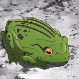 下北沢の日焼けガエル