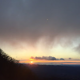 今日ごま食べた