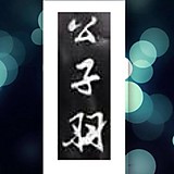 天涯明月公子羽