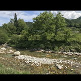 イチゴモグモグ