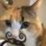 小津の魔法使い