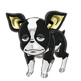 ＭＯＮＫＥＹ ＧＵＣＣＩ