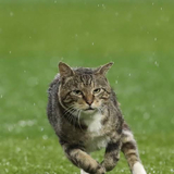 ラララフランス