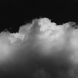 ポムポムぷりらない。