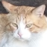 となりのマツモト